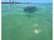 A lone manatee swims in the crystal-clear waters of the ocean, with people on the pier in the distance at 201 Cavallini Dr, Nokomis, FL 34275