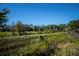Tranquil backyard view with pond and natural landscaping at 358 Pineview Dr, Venice, FL 34293
