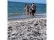 People standing in the shallow water at the beach at 418 Cerromar Ct # 261, Venice, FL 34293