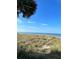 Scenic beach view with clear blue sky, ocean, and palm tree for a tropical paradise lifestyle at 418 Cerromar Ct # 261, Venice, FL 34293
