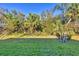 Lush green backyard with mature trees, creating a private and serene outdoor space at 4324 Knowles Ln, North Port, FL 34288