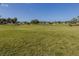 Expansive community green space with mature trees and landscaping at 435 Cerromar Ln # 326, Venice, FL 34293
