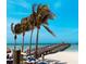 Picturesque view of the Venice Fishing Pier with palm trees in the foreground at 614 Pond Willow Ln, Venice, FL 34292
