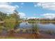 Scenic view of a tranquil pond reflecting the blue sky and surrounding lush greenery at 614 Pond Willow Ln, Venice, FL 34292