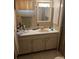 Bathroom featuring a vanity with sink, mirror, and storage cabinets at 733 Roma Rd, Venice, FL 34285