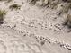 Inspiring shot of the word 'Dreams' spelled out of seashells on a sandy beach at 950 Tarpon Center Dr # 506, Venice, FL 34285