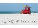 A beautiful beach with a lifeguard tower and seabirds, perfect for a relaxing day by the ocean at 3417 Clark Rd # 217, Sarasota, FL 34231