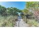 Charming beach path framed by greenery, offering a serene and natural route to the sandy shores at 419 Shore Rd, Nokomis, FL 34275