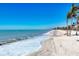 Idyllic beach landscape with palm trees, gentle surf, and clear blue skies stretching to the horizon at 919 Key Way, Nokomis, FL 34275