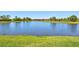 Expansive view of the pond with a well-manicured lawn at 10064 Cozy Grove Dr, Venice, FL 34293