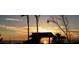 Beautiful sunset on the Gulf, silhouetting trees, and tiki hut overlooking the serene ocean horizon at 101 Portofino Dr, North Venice, FL 34275