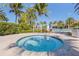 Relaxing community hot tub surrounded by lush landscaping and swaying palm trees in sunny Florida at 13251 Borrego St, Venice, FL 34293