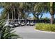 Golf carts parked on pavement with mature trees nearby at 1853 San Silvestro Dr, Venice, FL 34285