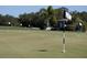 Close up of a golf course putting green with flag at 1853 San Silvestro Dr, Venice, FL 34285