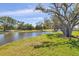 Scenic pond view on a sunny day, featuring lush green grass and mature trees at 1853 San Silvestro Dr, Venice, FL 34285