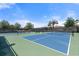 Community pickleball court surrounded by palm trees, other foliage, and under a blue sky at 20450 Revival Ln, Venice, FL 34293