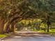Scenic street view featuring mature trees lining the road, casting dappled sunlight and creating a tranquil atmosphere at 206 Silver Lake Dr # 105, Venice, FL 34292