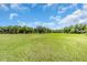 Expansive grassy field, perfect for recreation, with lush green grass and surrounding trees at 2211 Englewood Rd, Englewood, FL 34223