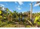 Scenic backyard with lush banana trees bordering a tranquil pond, creating a serene landscape at 440 Monza Ave, North Port, FL 34287