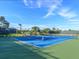 Well-maintained community tennis court with green and blue surface, surrounded by mature trees at 867 Macaw Cir, Venice, FL 34285