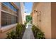 Charming walkway lined with vibrant plants leading to the front door of the home at 1007 Gondola Park Dr # 1007, Venice, FL 34292