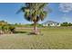 Expansive backyard view showcasing the home's ample outdoor space and palm tree at 13452 High Springs Ave, Port Charlotte, FL 33981
