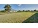 Expansive backyard view showcasing the home's ample outdoor space and palm tree at 13452 High Springs Ave, Port Charlotte, FL 33981