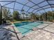 Beautifully maintained screened pool with spa features lush landscaping for a serene outdoor experience at 208 Corelli Dr, Nokomis, FL 34275
