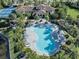 Stunning aerial view of a community pool with lounge chairs and umbrellas surrounded by mature trees at 208 Corelli Dr, Nokomis, FL 34275