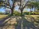 Spacious backyard features mature trees offering privacy, with a glimpse of the screened-in lanai at 2606 Trilby Ave, North Port, FL 34286