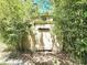 Exterior view of the storage shed, surrounded by bamboo trees at 2606 Trilby Ave, North Port, FL 34286