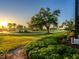 Beautiful golf course view, featuring mature trees and lush green lawn at 48 Grande Fairway, Englewood, FL 34223