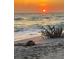 A sea turtle peacefully rests on the sandy beach, with the sun setting on the ocean at 863 Southland Rd, Venice, FL 34293