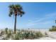 Scenic beach view featuring clear skies, lush dune grass, and swaying palm trees at 1100 Tarpon Center Dr # 102B, Venice, FL 34285