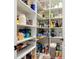 Walk-in pantry with ample shelving space for organized storage of food items and kitchen essentials at 11700 Tapestry Ln, Venice, FL 34293
