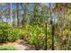 Lush landscaping featuring an assortment of tropical plants at 1657 Bayshore Dr, Englewood, FL 34223