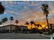 Picturesque street view with palm trees framing buildings during a golden sunset, enhancing downtown charm at 19893 Cobblestone Cir, Venice, FL 34292
