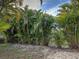 Lush backyard filled with mature tropical foliage creating a private outdoor space at 3192 Pinetree St, Port Charlotte, FL 33952