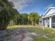 Spacious backyard featuring mature palm trees, a lush lawn, and partial views of the residence at 3192 Pinetree St, Port Charlotte, FL 33952