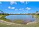 Scenic lake view surrounded by lush vegetation and residential homes on a sunny day at 4321 Via Del Santi Dr, Venice, FL 34293