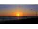 Beautiful sunset over the ocean with tall grasses in the foreground at 442 Sunset Lake Blvd # 104, Venice, FL 34292