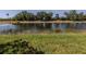 Peaceful pond view with grassy shoreline, providing a serene natural backdrop at 11924 Tempest Harbor Loop, Venice, FL 34292