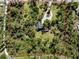 Aerial view of a wooded home site with mature trees and circular driveway outlined in red at 2450 Flagami Ln, North Port, FL 34286