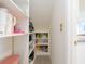 Walk-in pantry offering ample storage space at 4907 Wedgeleaf Way, Palmetto, FL 34221