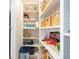 Spacious pantry with organized shelves and storage baskets at 4907 Wedgeleaf Way, Palmetto, FL 34221