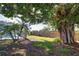 Expansive backyard with mature trees offering shade near a screened pool area, creating a serene outdoor setting at 100 Aurora W St, Venice, FL 34285