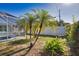 Beautiful backyard showcases lush palm trees and greenery near the screened lanai at 100 Aurora W St, Venice, FL 34285