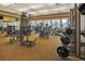 Well-equipped gym featuring a variety of exercise machines and weights, providing a comprehensive fitness experience at 13166 Huerta St, Venice, FL 34293