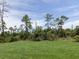 Lush backyard with mature trees and clear blue sky at 15232 Faulkner Ave, Port Charlotte, FL 33953