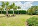 Lush backyard with neatly trimmed hedges and palm trees at 1565 Hyssop Loop, North Port, FL 34289